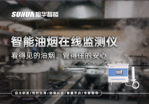 智能油烟在线监测仪：看得见的油烟，管得住的安心